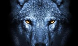 Featured image of post Setea