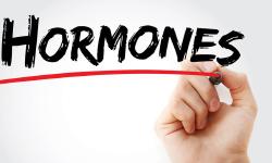 Featured image of post Opt săptămâni am fost femeie