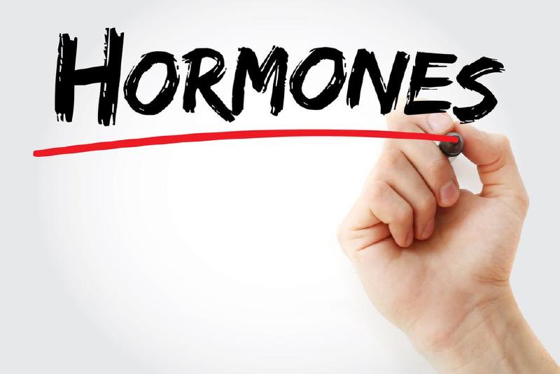 Featured image of post Opt săptămâni am fost femeie